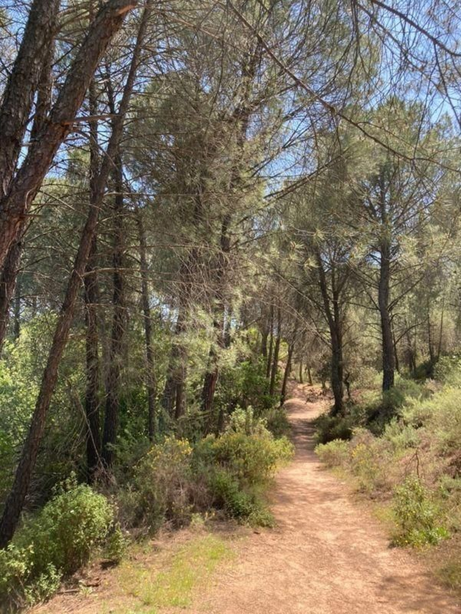 5 kilómetros de senderos para hacer a pie o en bicicleta