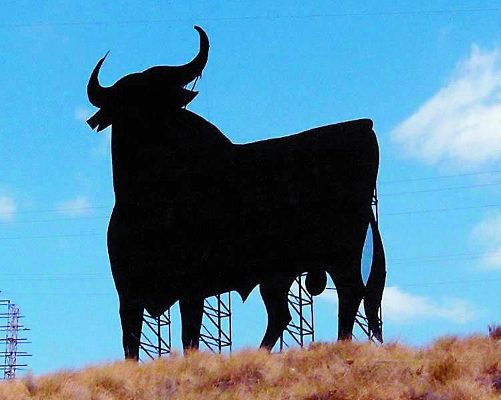 Los Toros de Osborne son ya parte del paisaje español