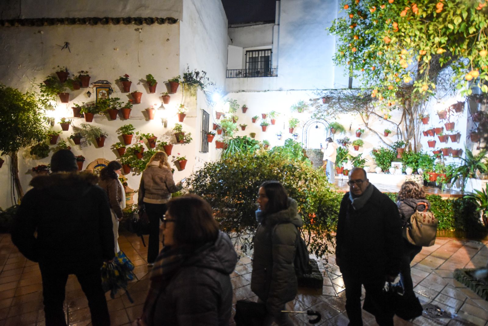 Las mejores fotos de la última jornada de la Navidad en los Patios
