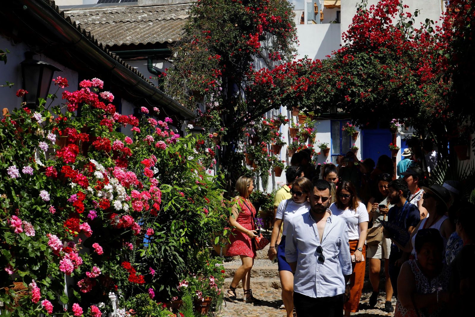 Las colas en el último sábado de Patios de Córdoba, en imágenes