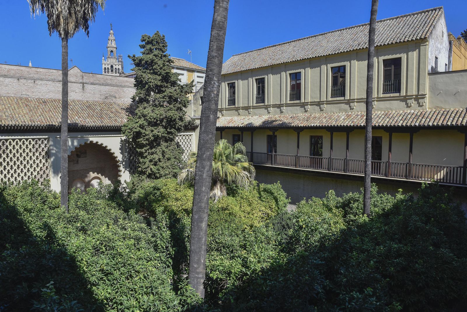 El Jardín de la Contratación que en su día formó parte del Alcázar.