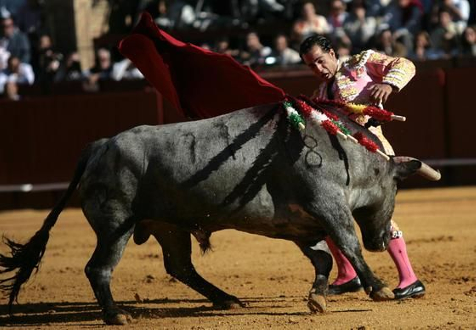 Foto: Juan Carlos Muñoz