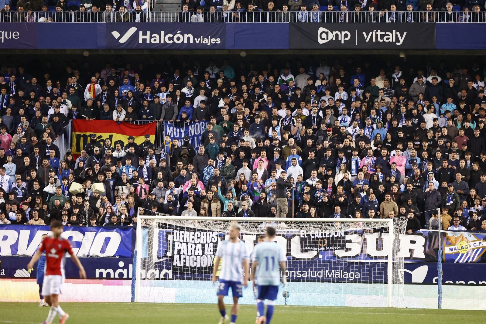 Búscate en La Rosaleda en el Málaga CF-Albacete