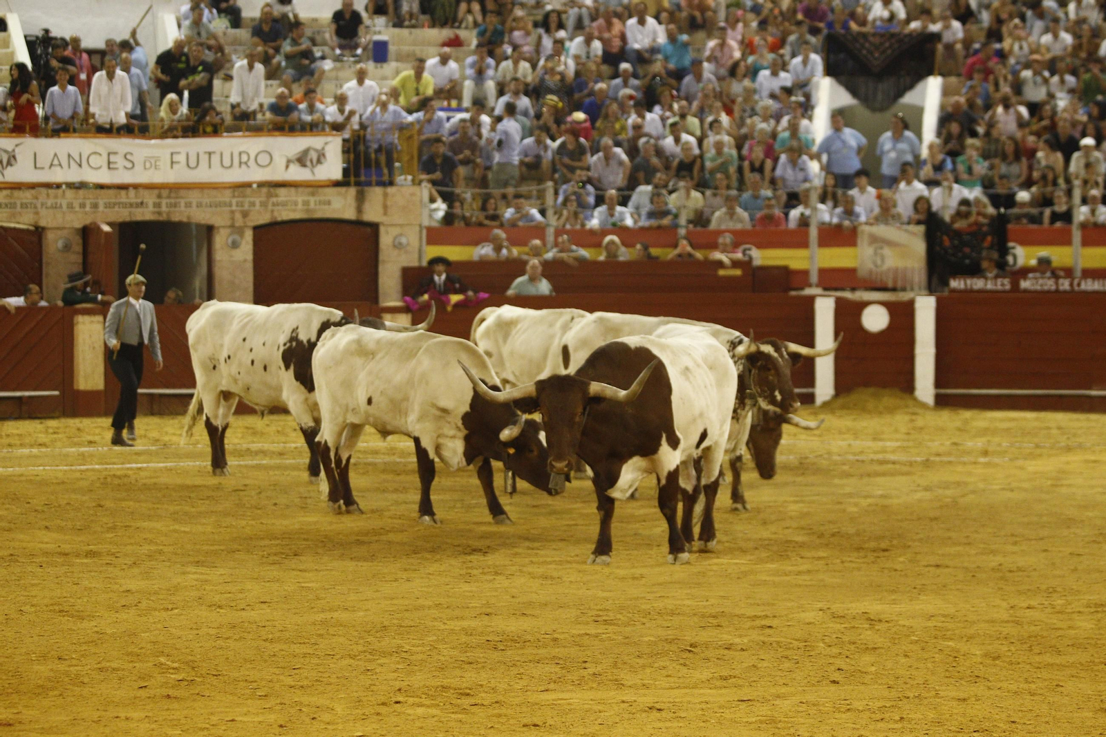 Las mejores imágenes de los toreros Fortes, Juan Ortega y David de Miranda en la Feria de Almería 2025