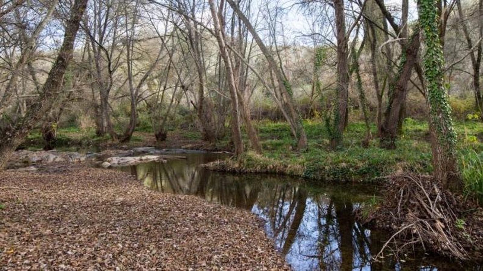 Inmediaciones del área recretiva