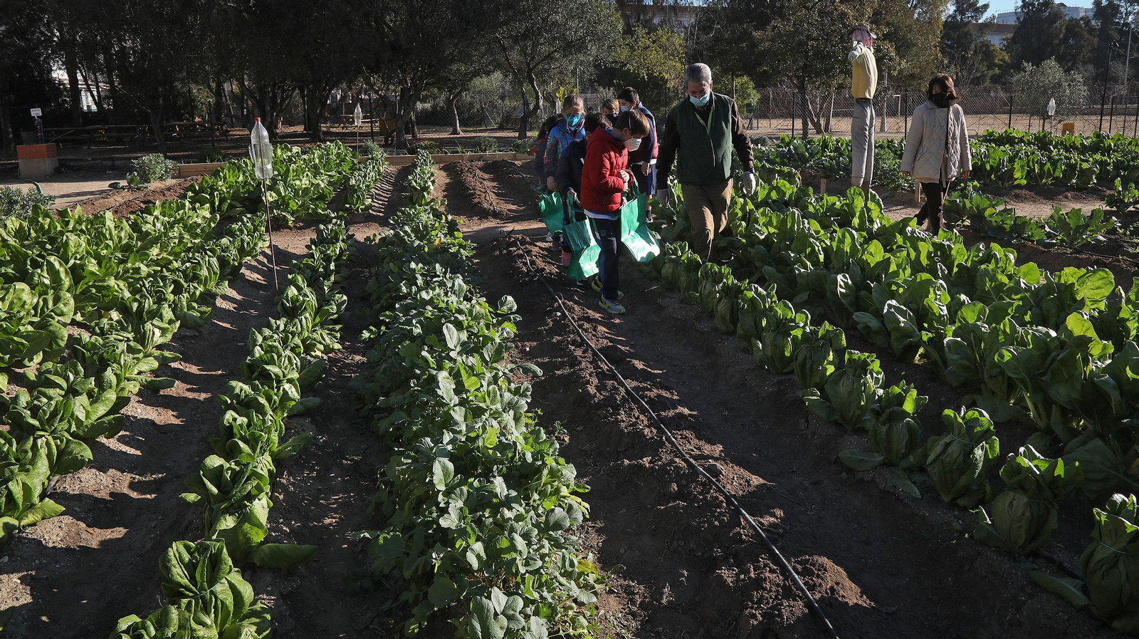 Huerto ecológico y educativo en Los Marianistas