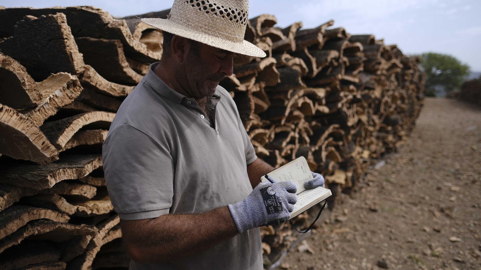 El pesaje del corcho se hace por personal municipal.