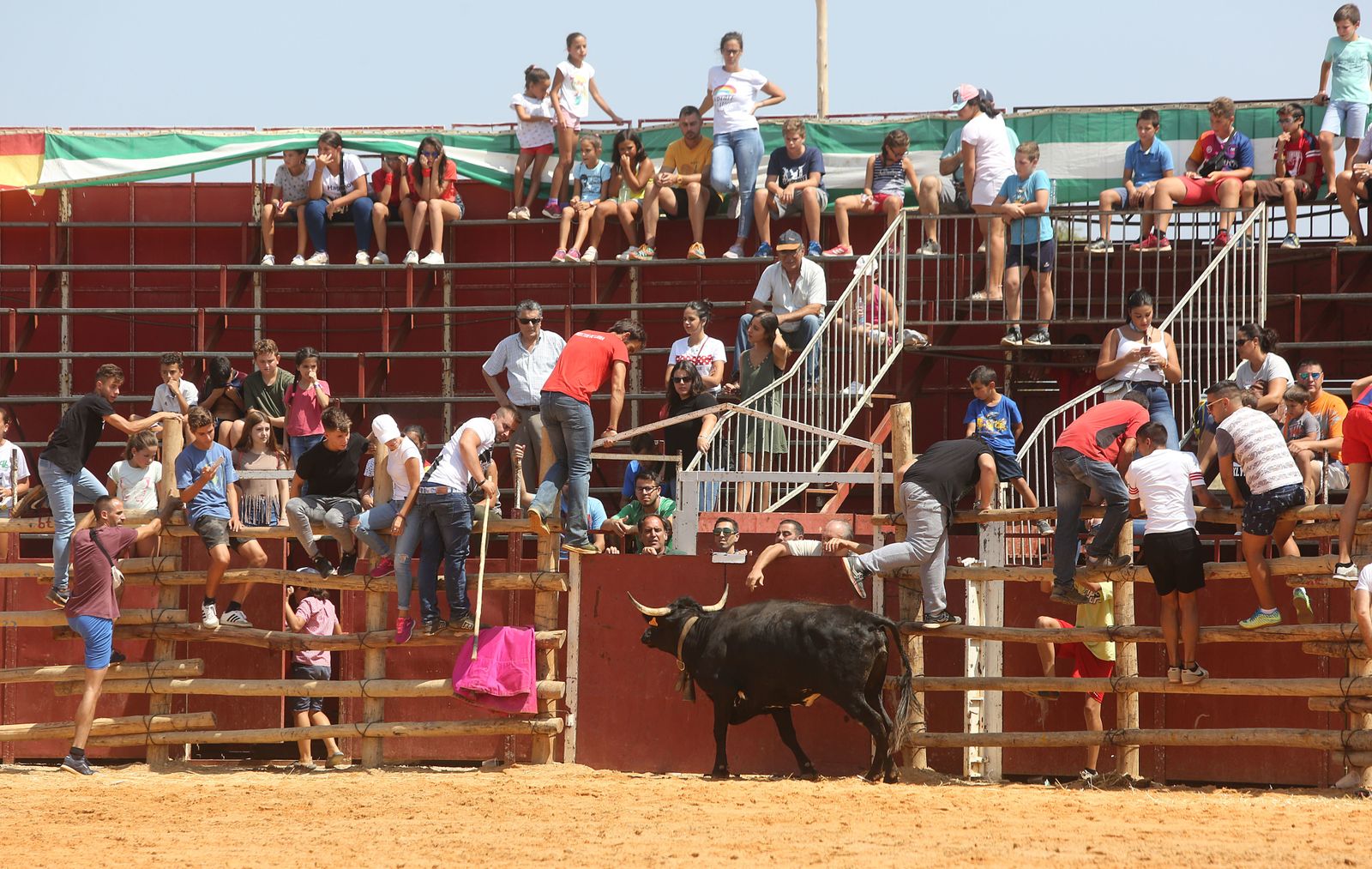 Capeas de Trigueros en imágenes