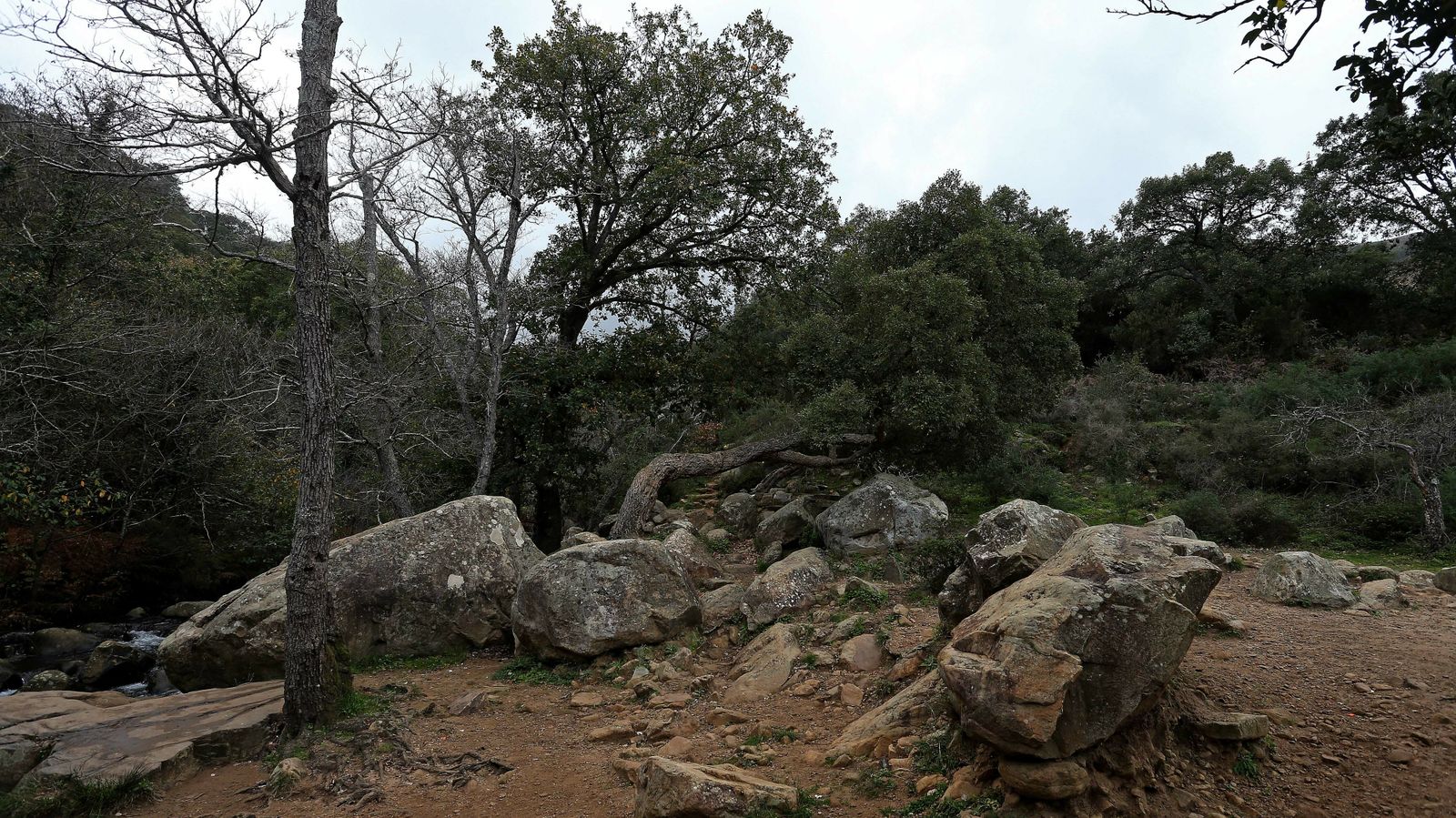 Las mejores fotos del sendero del Río de la Miel