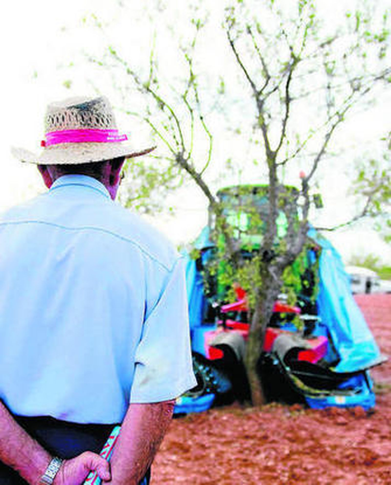 El futuro del sector pasa por la mecanización de los procesos.