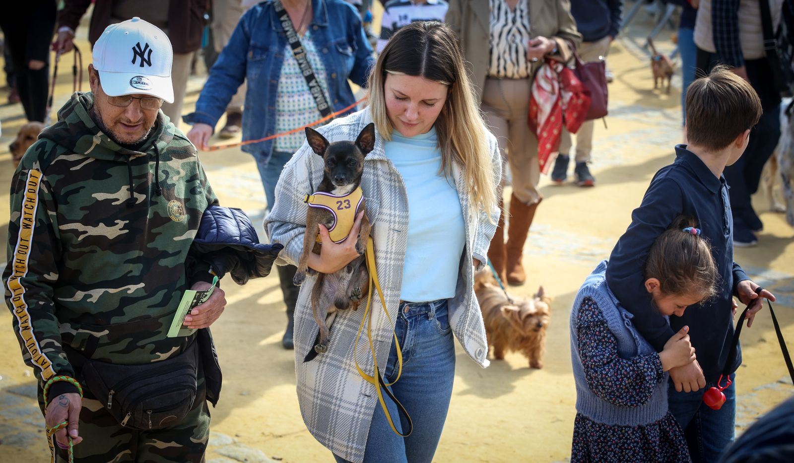 Fiesta de san Antón 2024 en Jerez