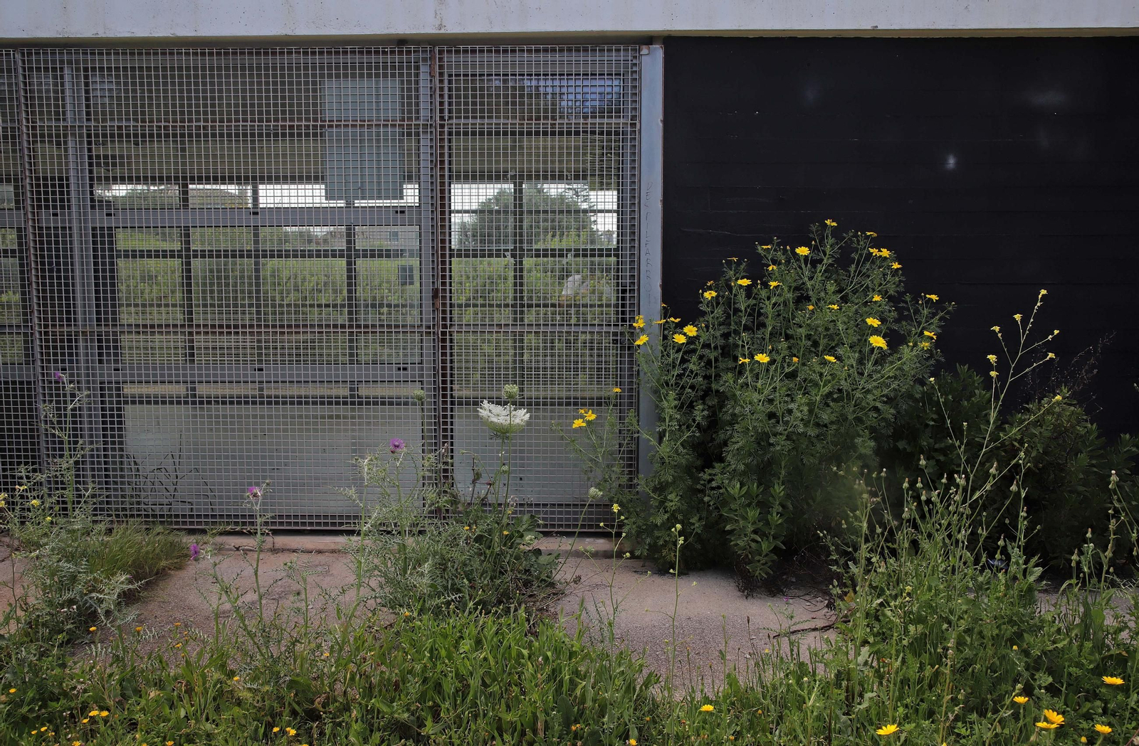 Fotos del estado de abandono del Parque del Centenario de Algeciras