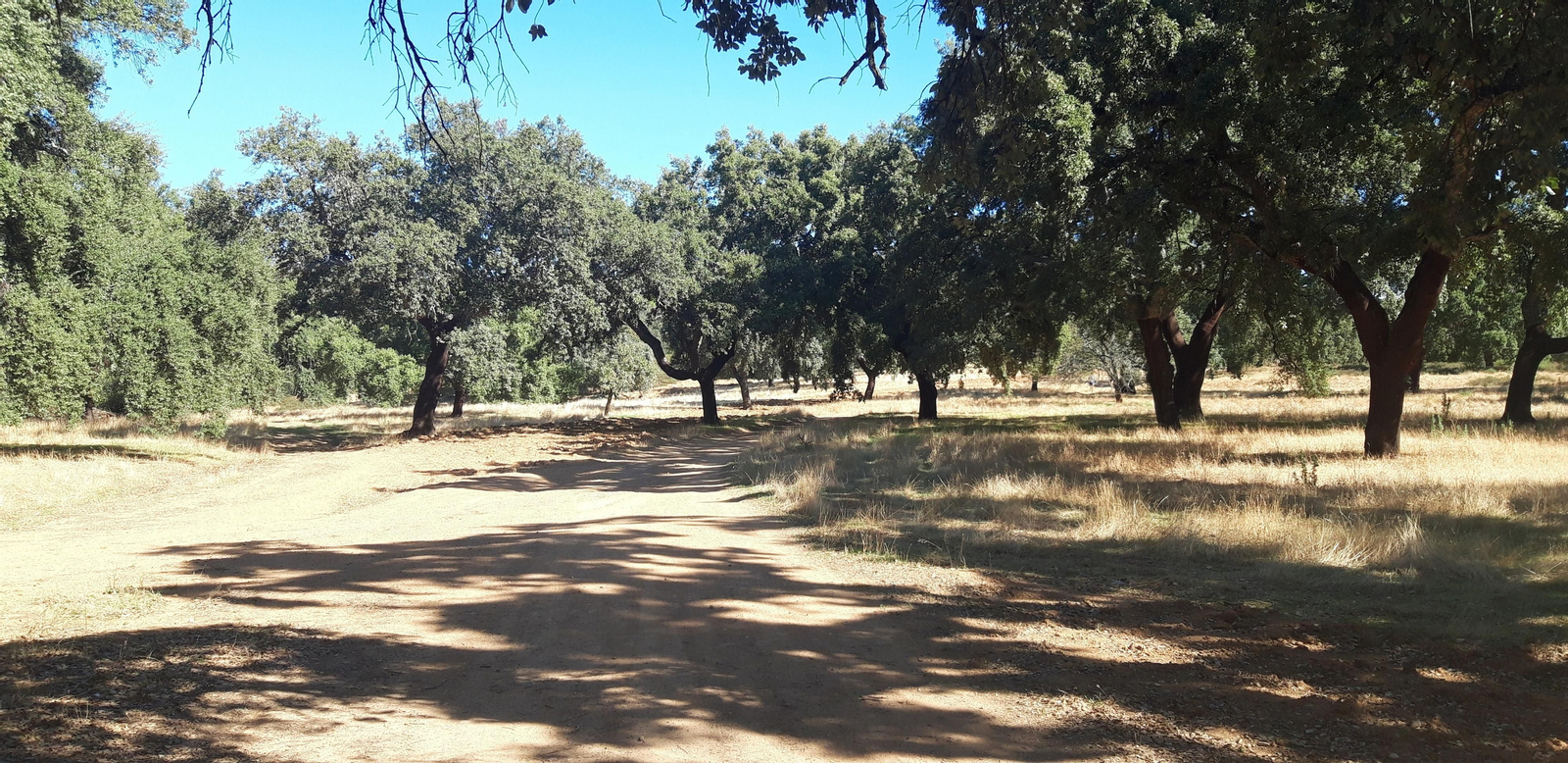 Las fotos de la Circular del Campovid