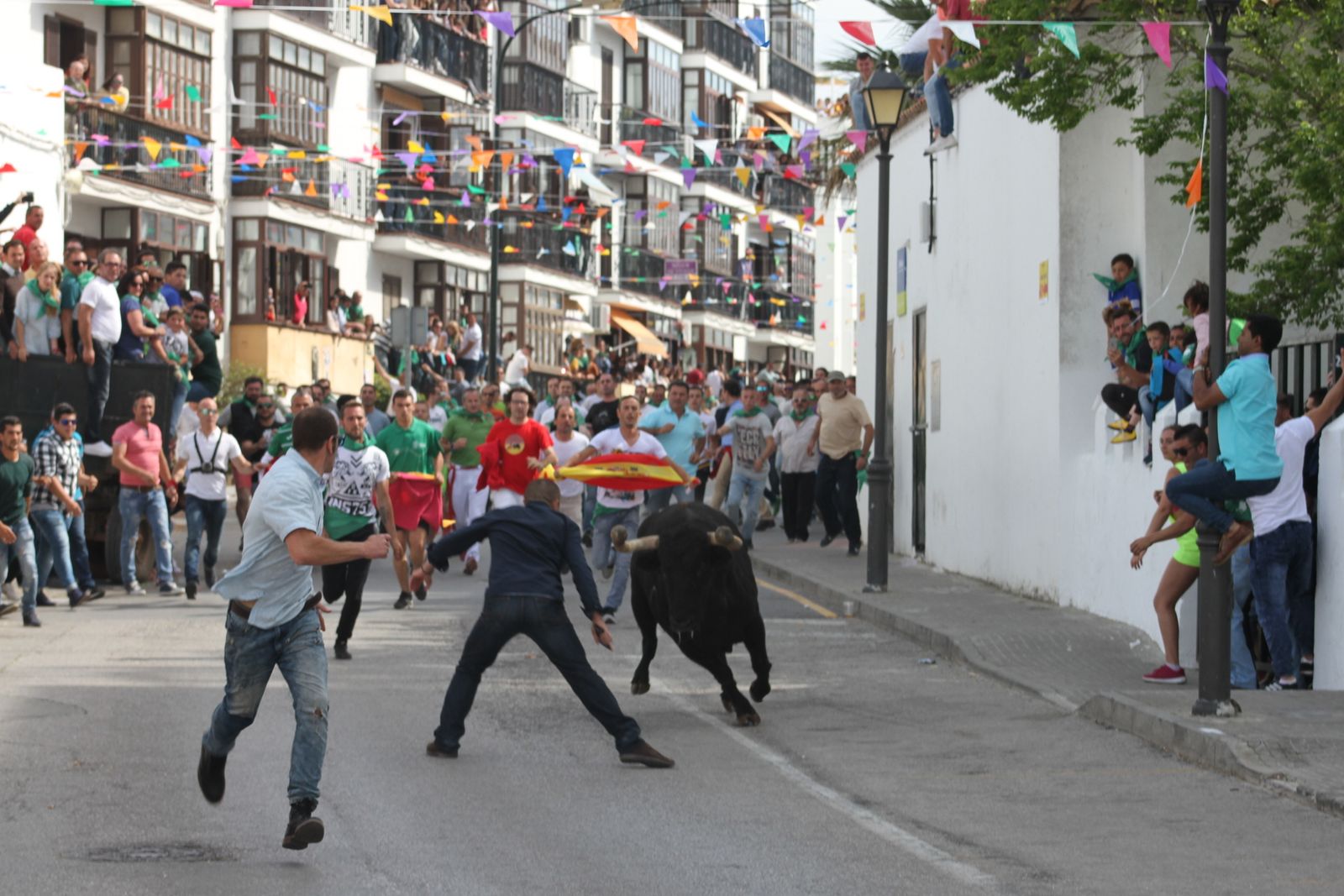 Toro Embolao en Vejer