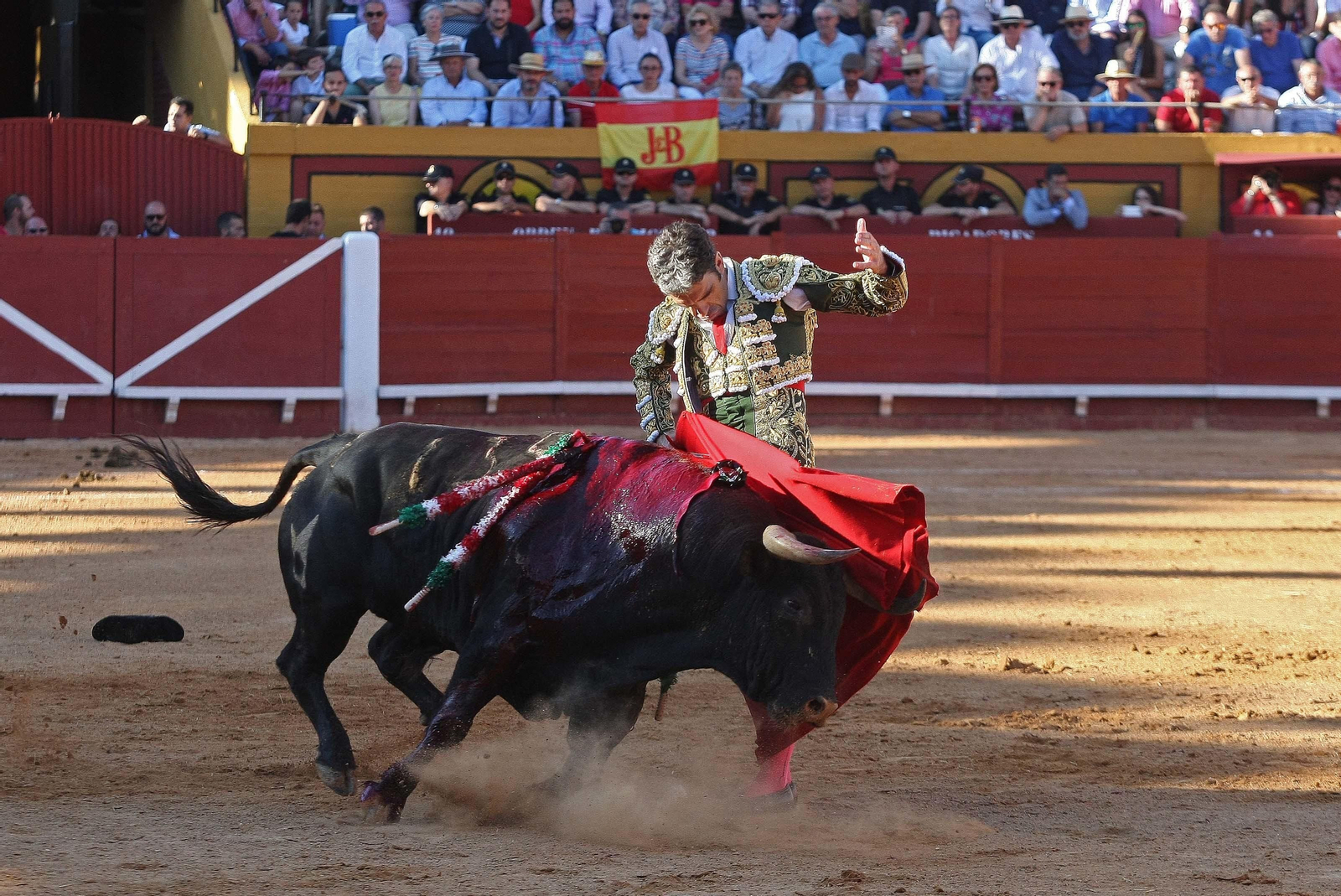 Las imágenes de la reaparición de José Tomás en Algeciras