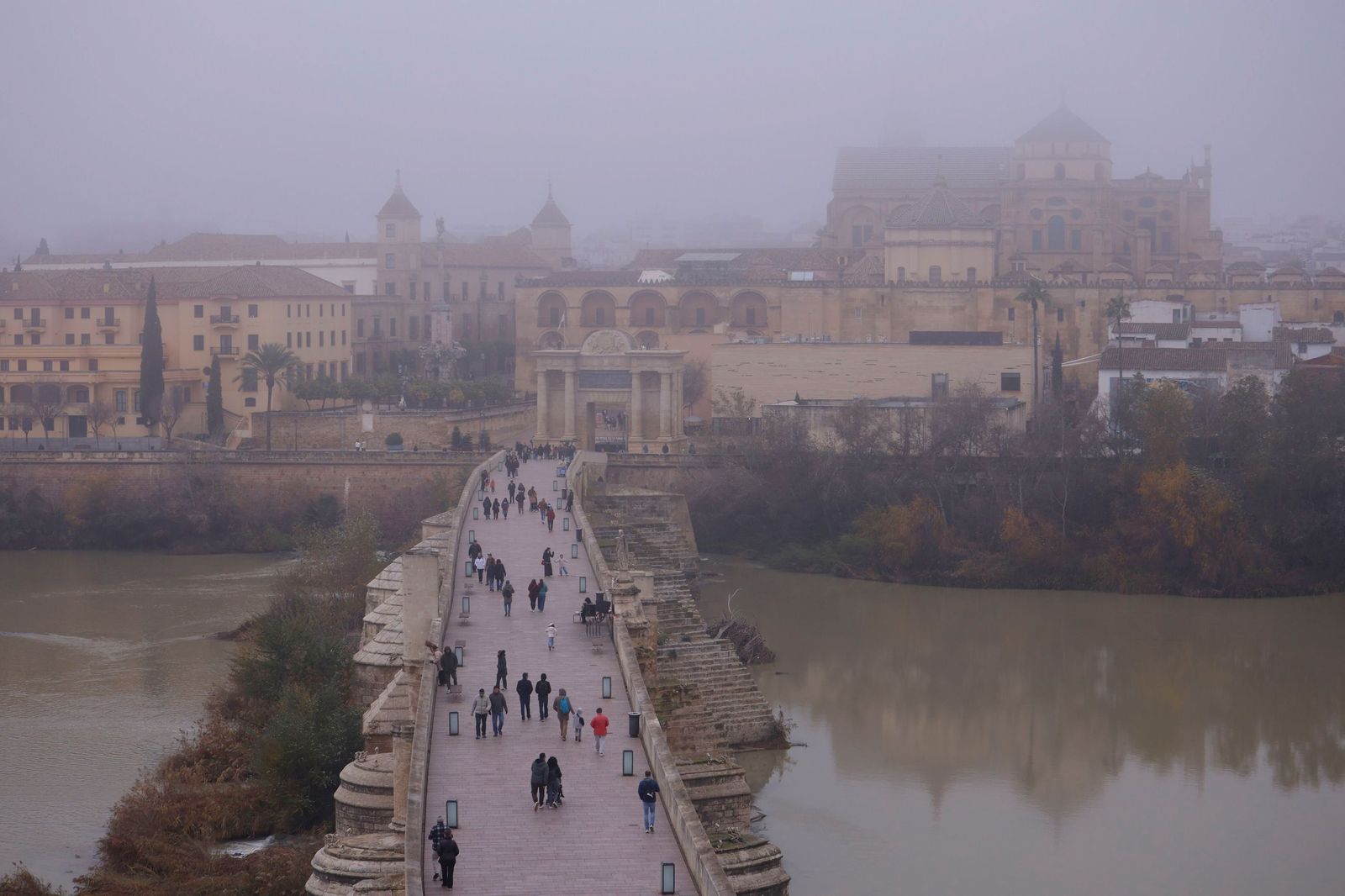 Córdoba amanece bajo la niebla el último día de 2025, en fotos