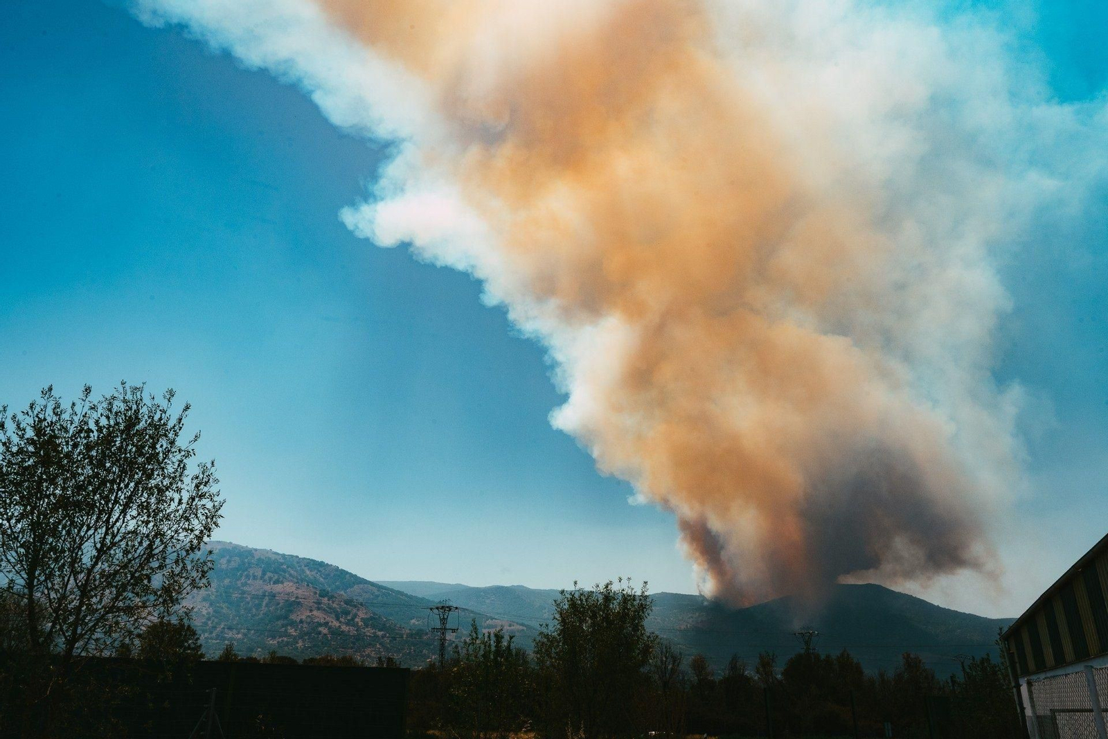 Imagen del pasado verano, donde los fuegos de Extremadura y Portugal han destruido colonias clave.