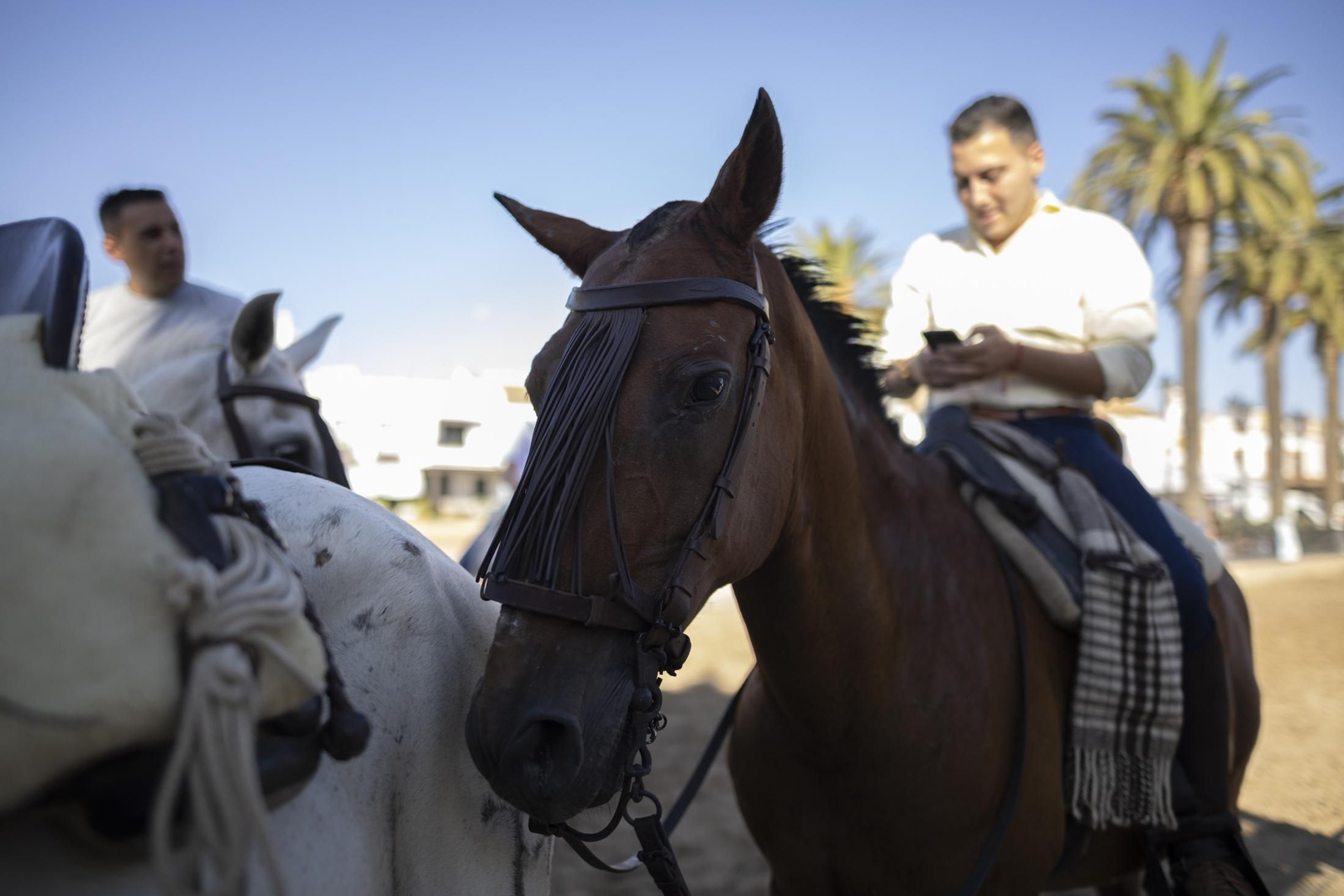 Ambiente del jueves 18 de agosto en la aldea de El Rocío durante el Rocío Chico
