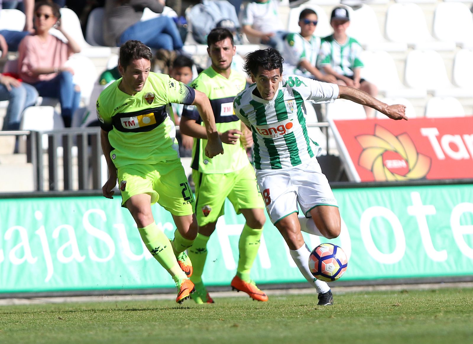 Las imágenes del Córdoba-Elche