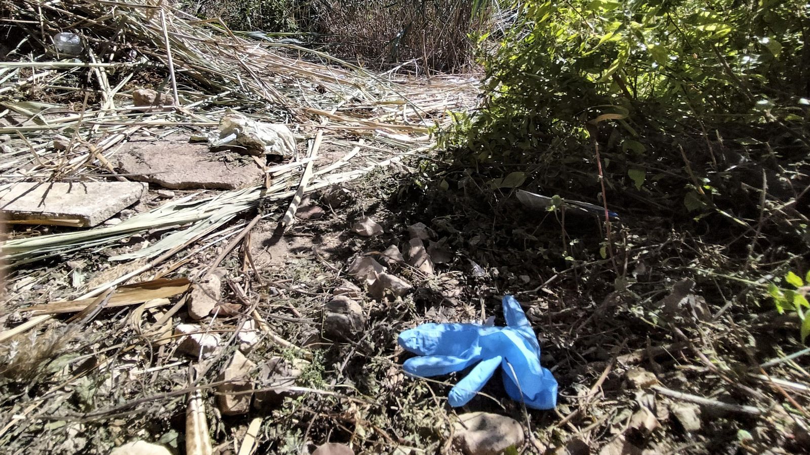 El lugar de Gandía en el que se ha hallado el cuerpo de Ester Estepa.