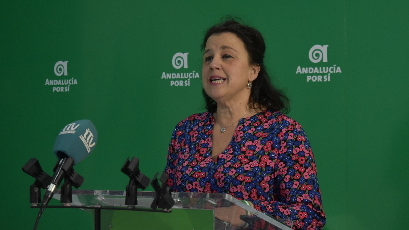 Maite Lebrero, concejala de AxSí San Fernando.