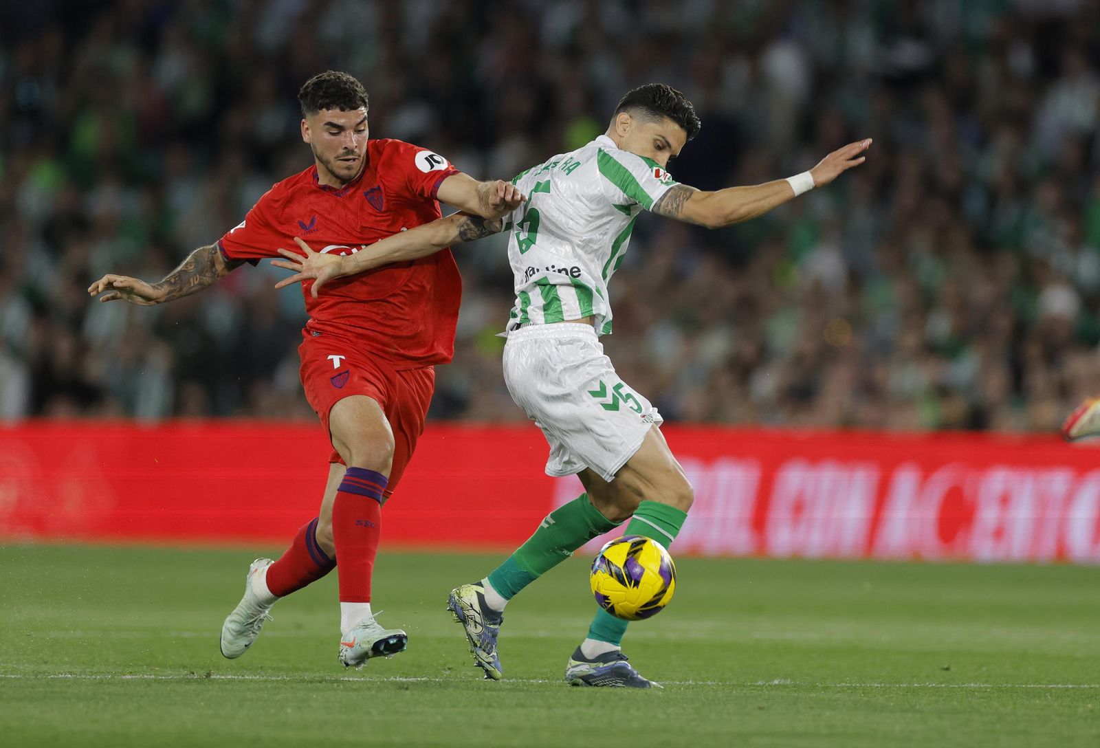 Las fotos del Betis - Sevilla