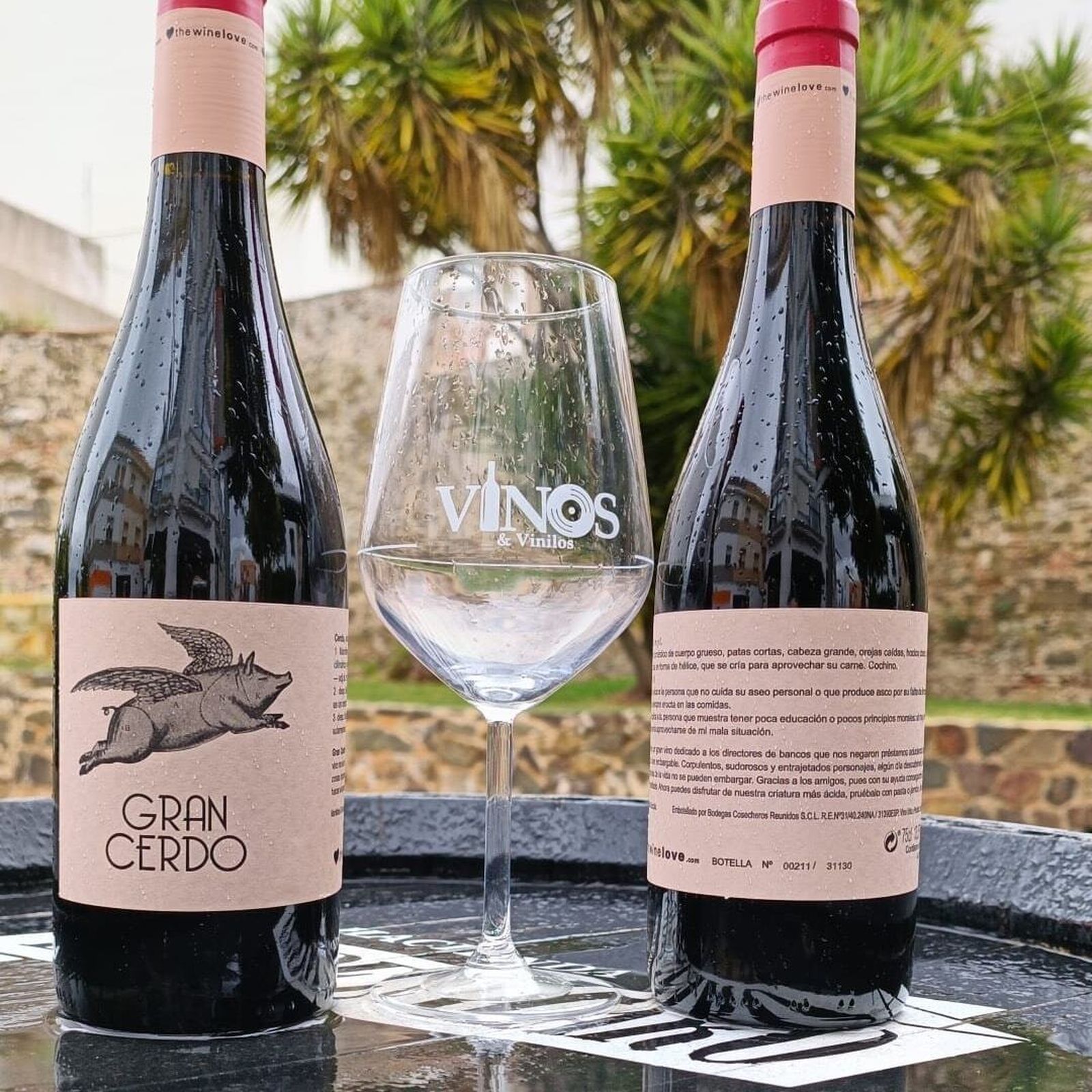 Vinos y vinilos en Ayamonte