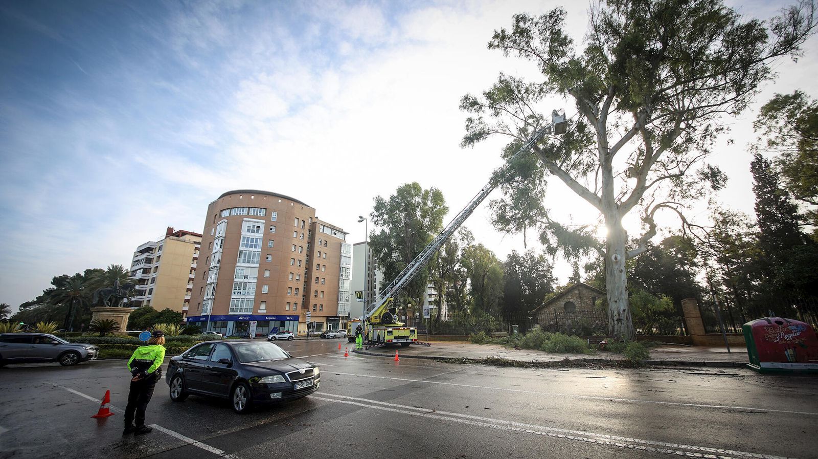 Bomberos del parque de Jerez podando un árbol de la avenida alcalde Álvaro Domecq
