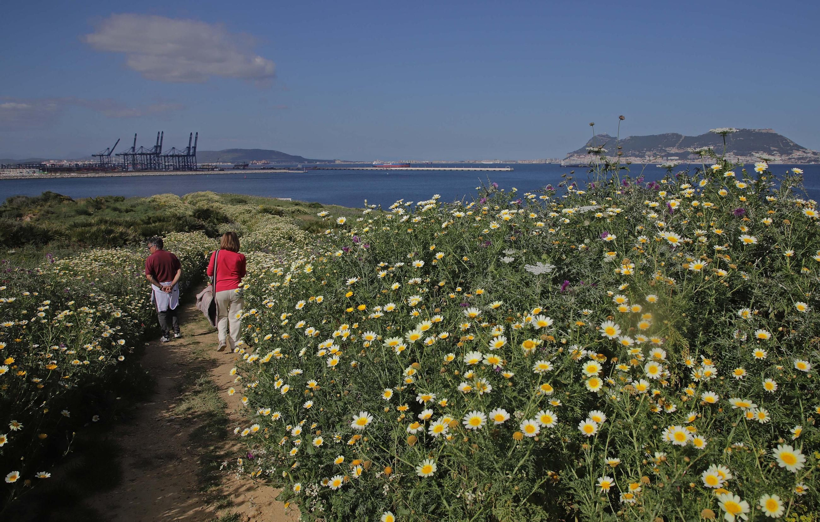 Fotos del estado de abandono del Parque del Centenario de Algeciras