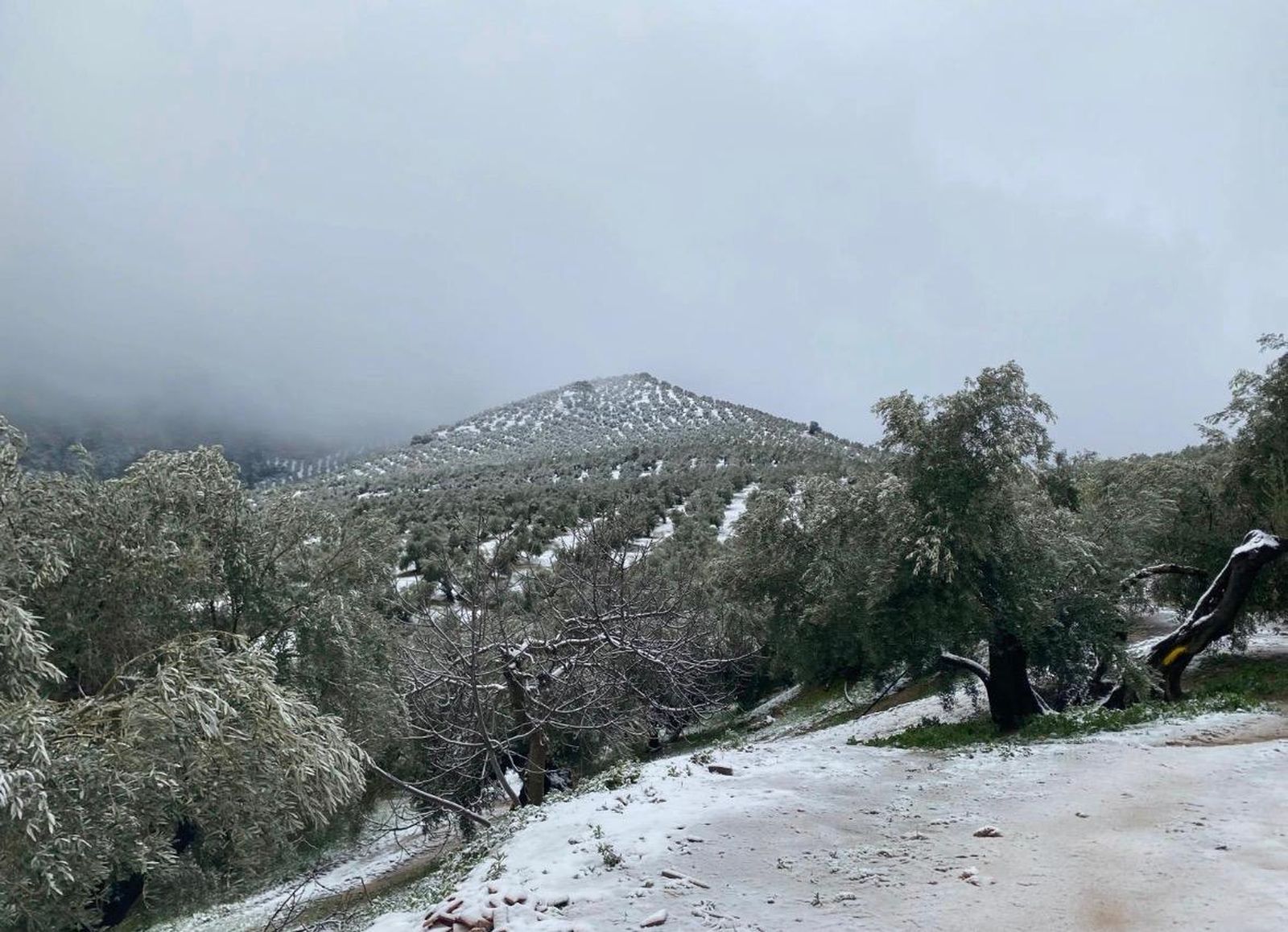 WhatsApp Image 2026-01-24 at 11.09.19