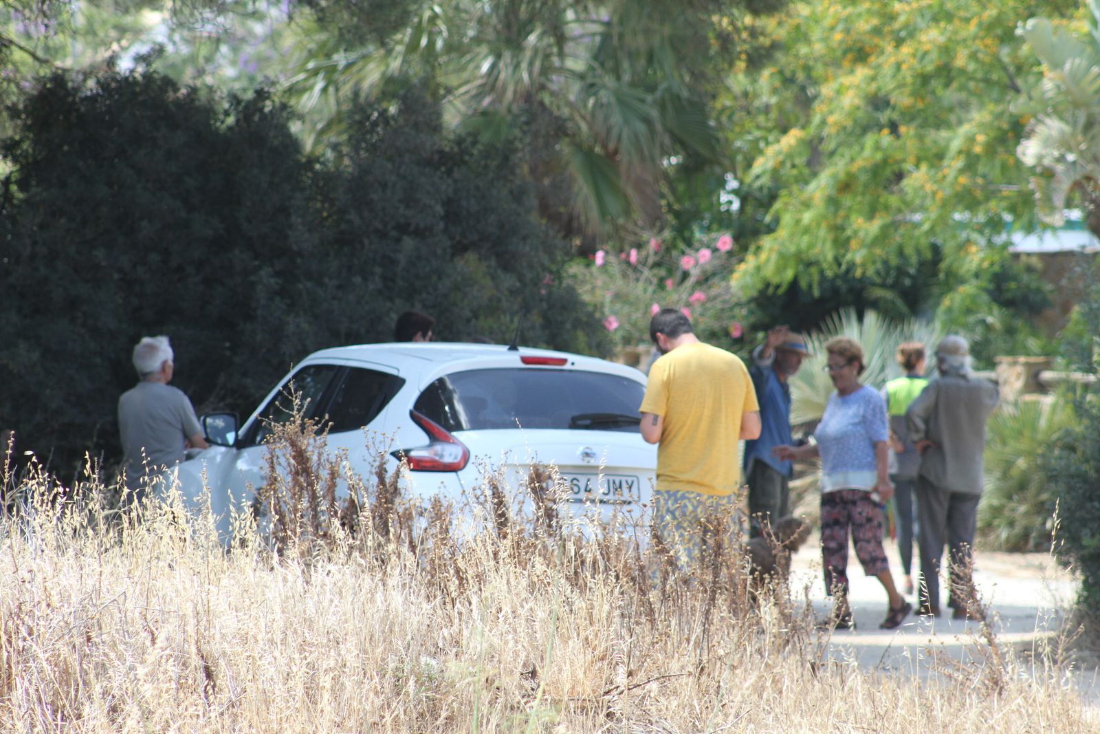 El incendio en el pinar de Roche, en imágenes