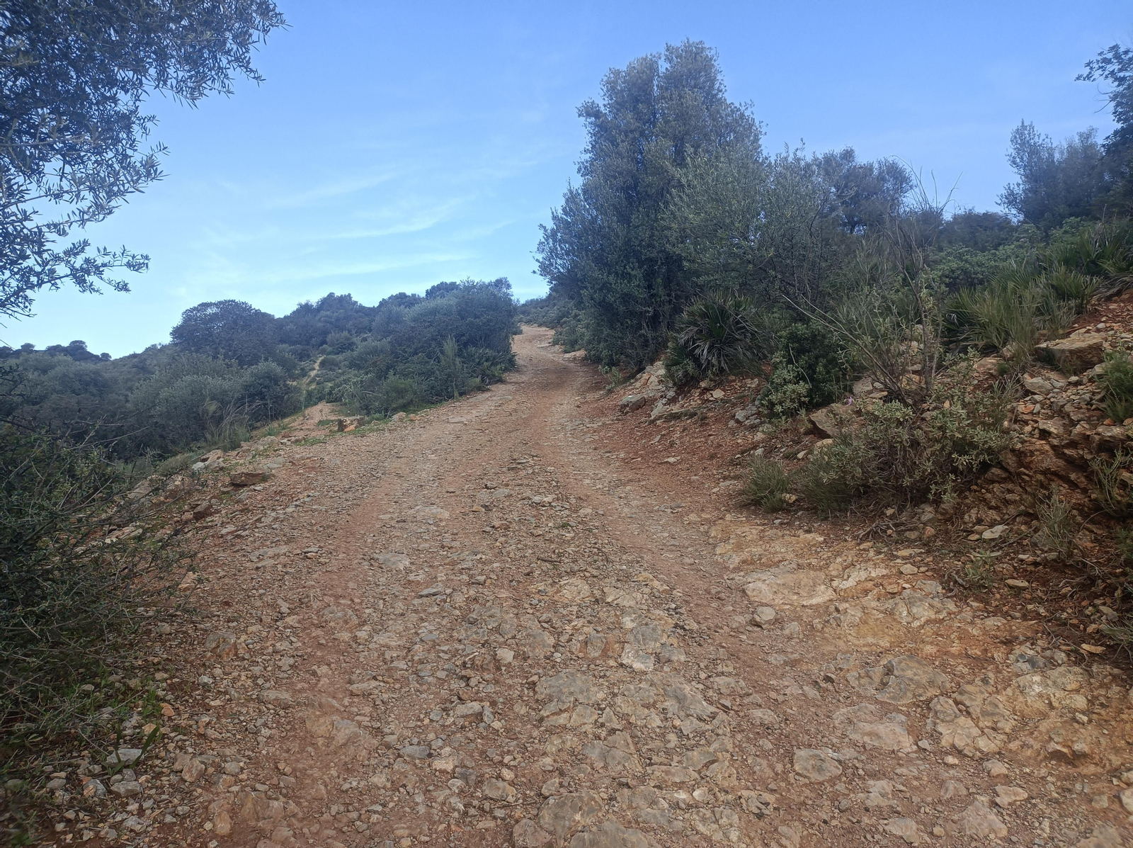 12.	Tras la cancela el camino será ondulante con subidas y bajadas.
