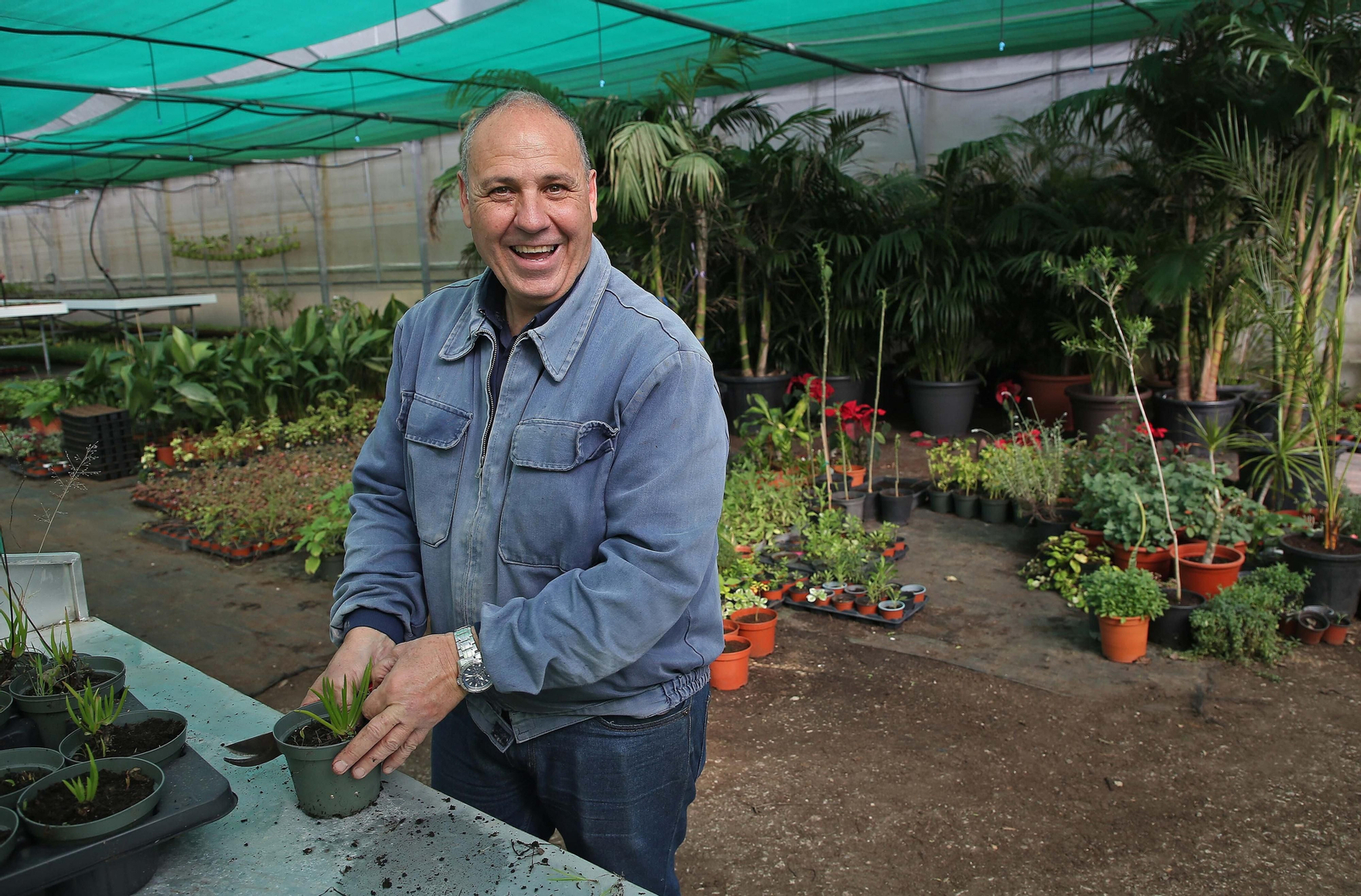 Fotos del vivero municipal de Algeciras