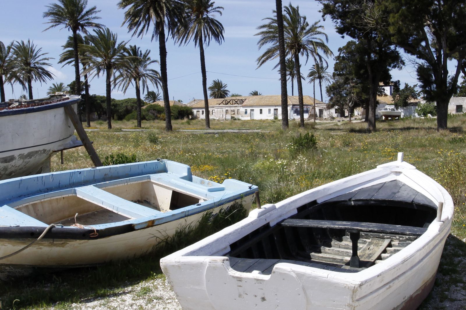 Una imagen del poblado de Sancti Petri, donde estaría ubicada esta nueva almadraba.