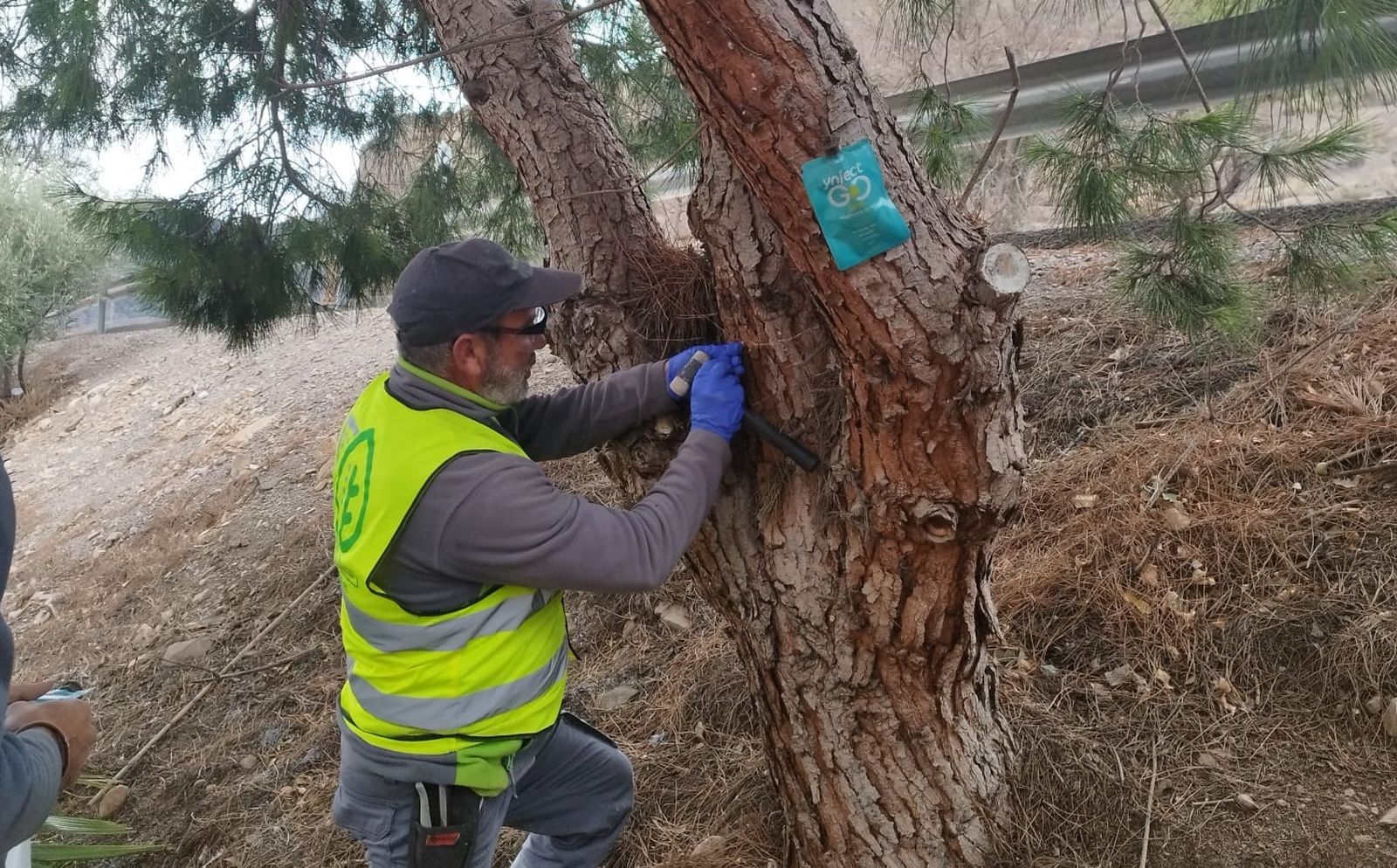 Ya han comenzado los trabajos de blindaje en pinares.