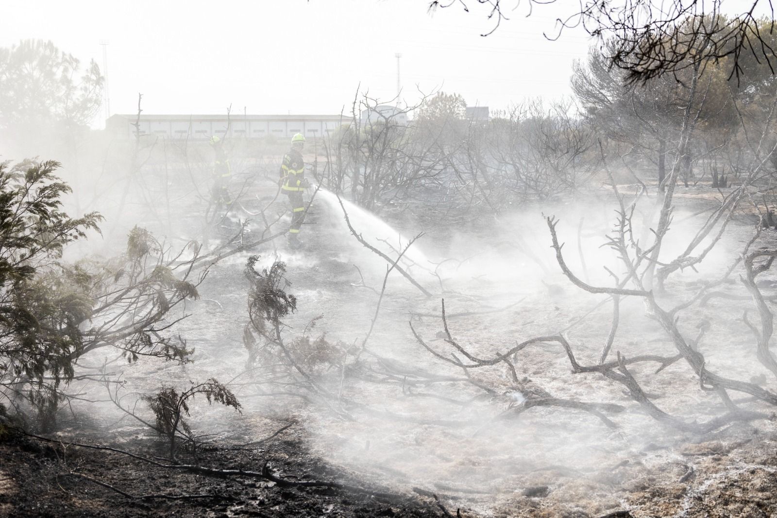 Imágenes del incendio en el Tiro Pichón