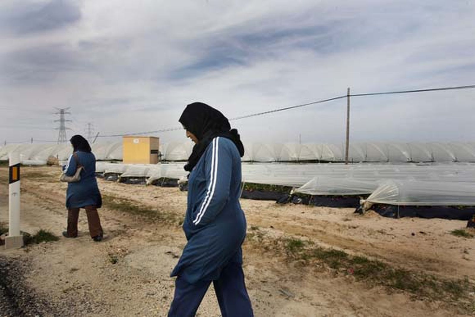 Entre Mazagón y Palos se extiende un mar blanco que oculta los campos de fresa, que oculta el lugar de ninguna parte de los africanos derrotados

Foto: Fito Carreto