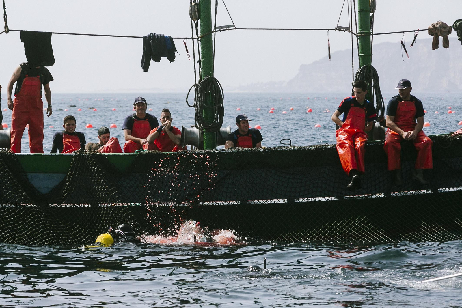 Imágenes de la primera levantá del año