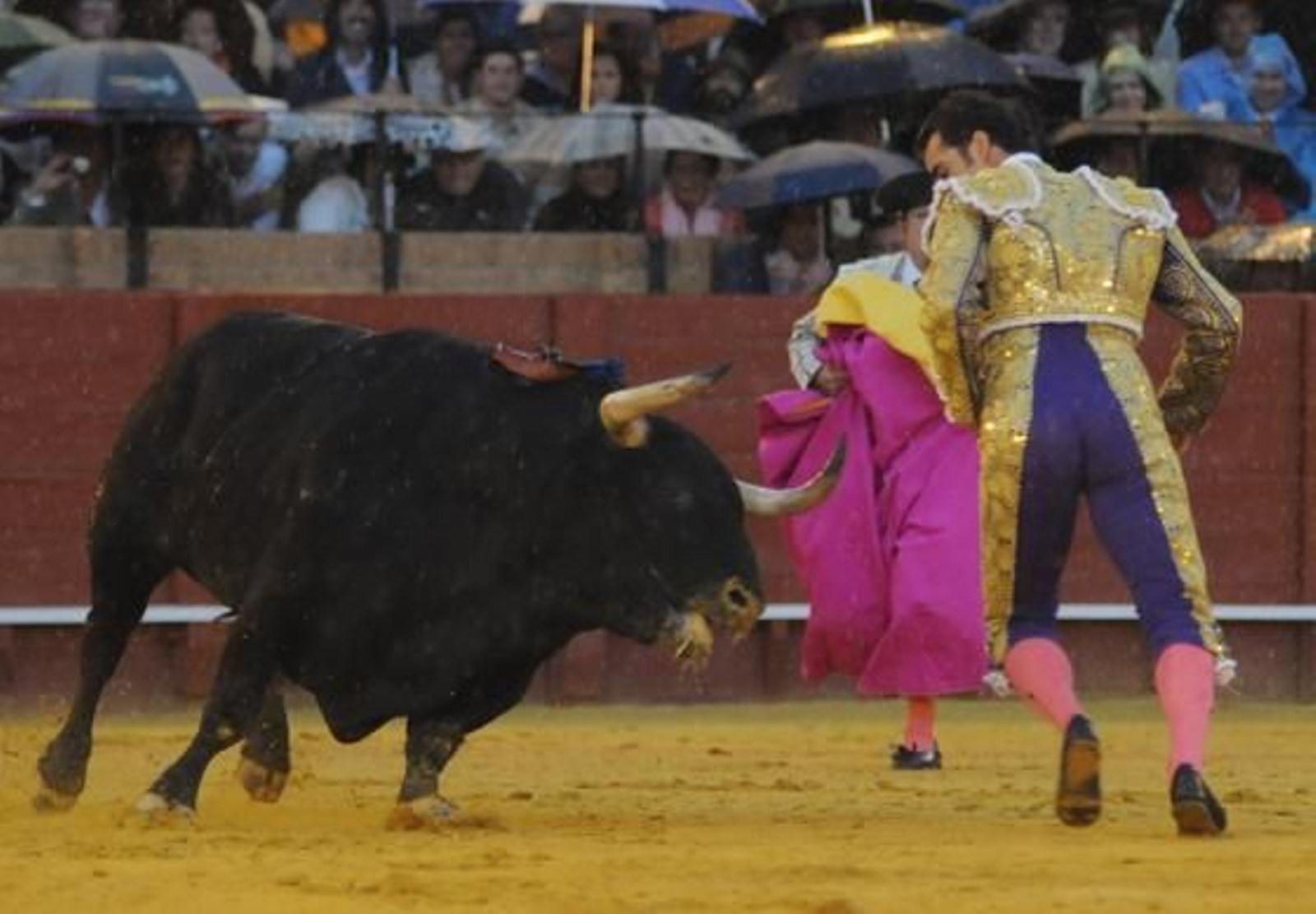 Foto: Juan Carlos Vázquez