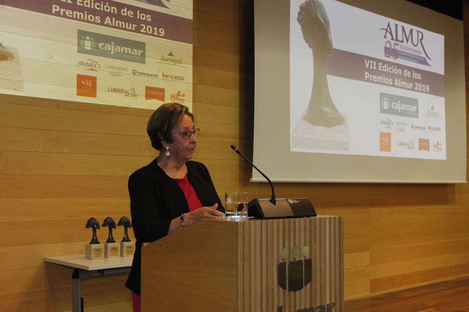 Fotogalería Premios Almur 2019. Almería