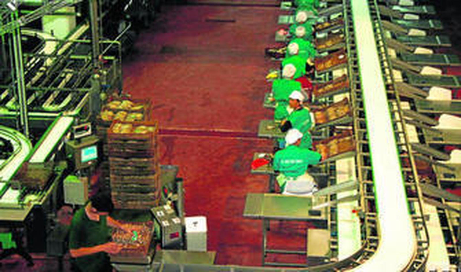 Imagen de archivo de una de las plantas de la fábrica barbateña, en plena producción de conservas de pescado.