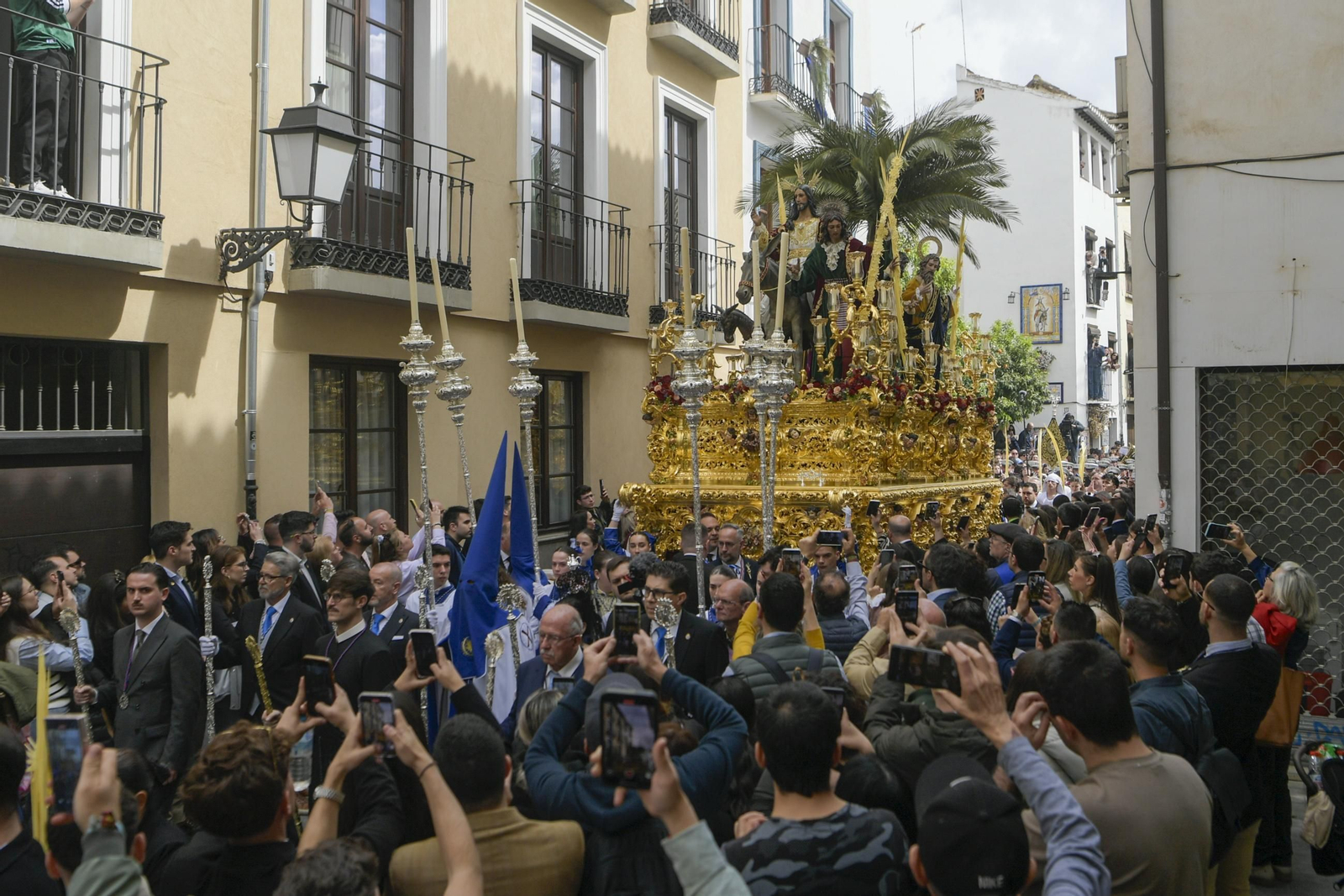 Así vivió Granada la salida de la Hermandad de la Borriquilla 2025