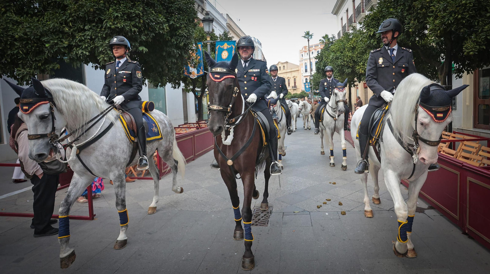 Imágenes de la Parada Hípica celebrada en Jerez