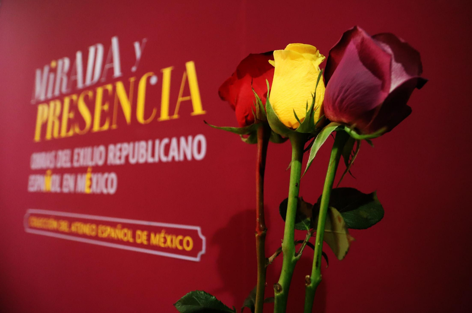 Imágenes de la exposición 'Mirada y Presencia. Obras del exilio republicano español en México'