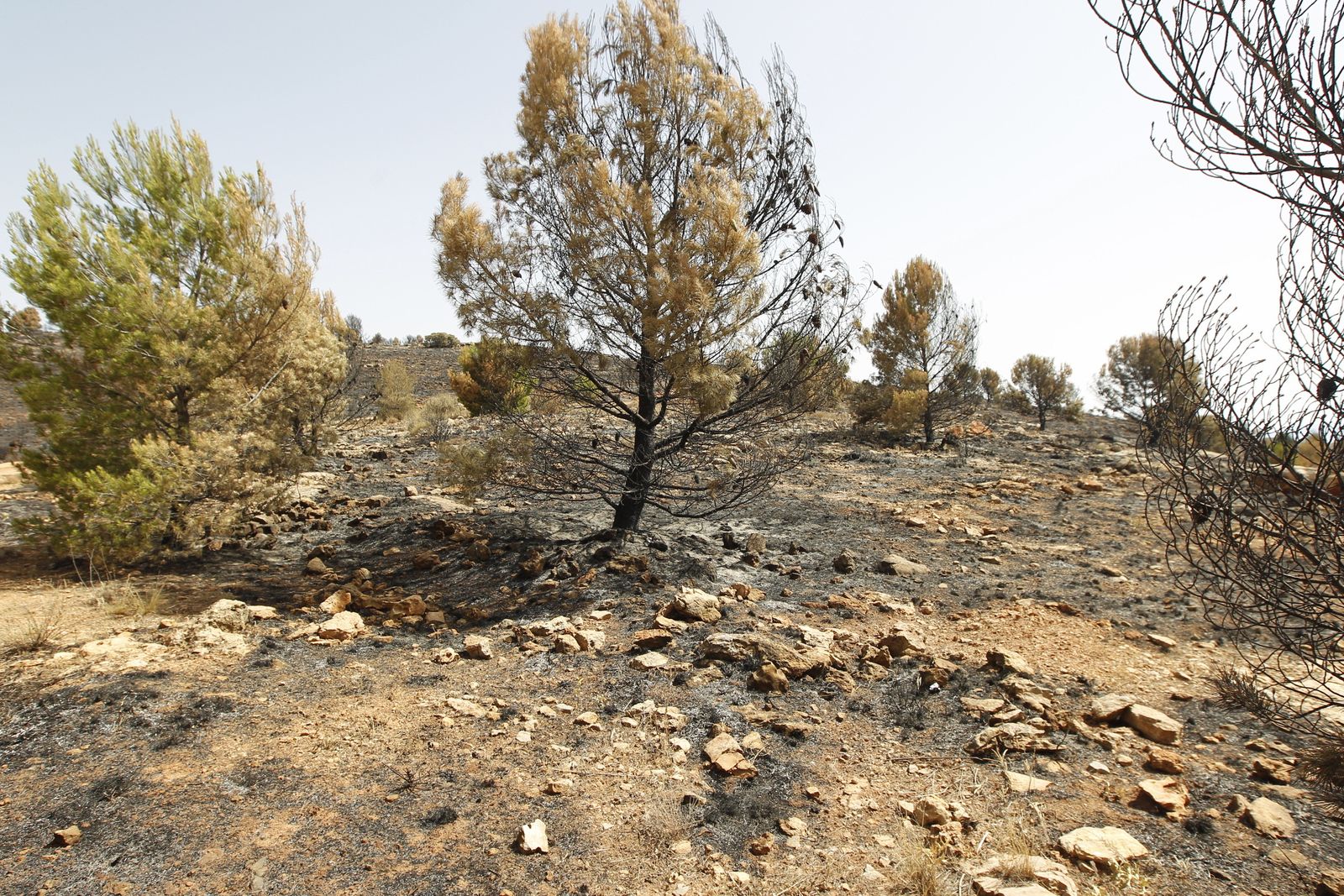 Fotogalería incendio extinguido Sierra de Gádor