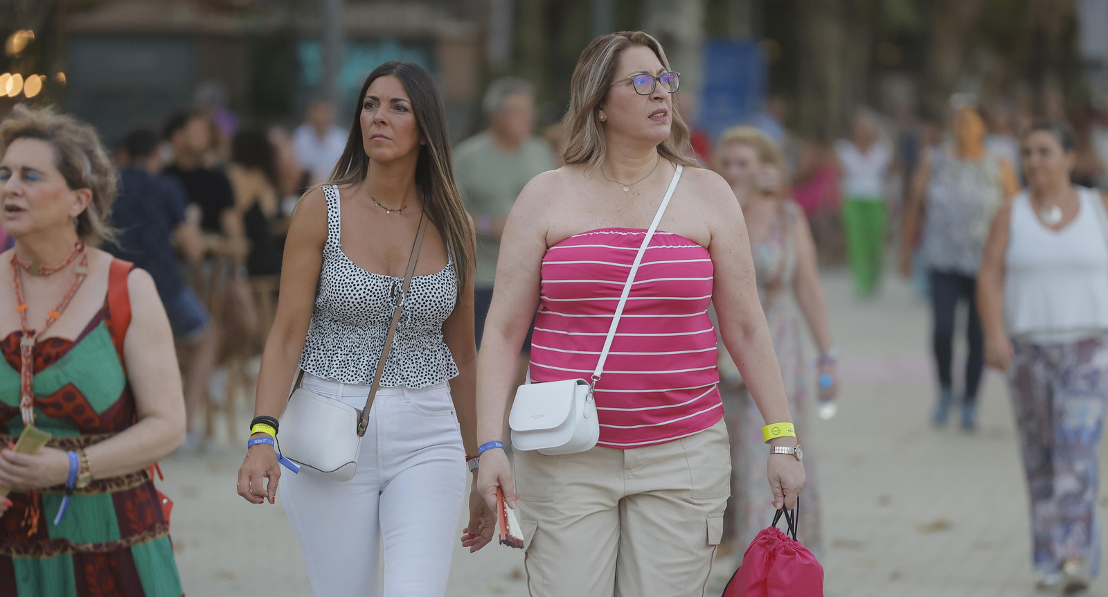 Búscate entre las fotos del concierto de Ana Torroja