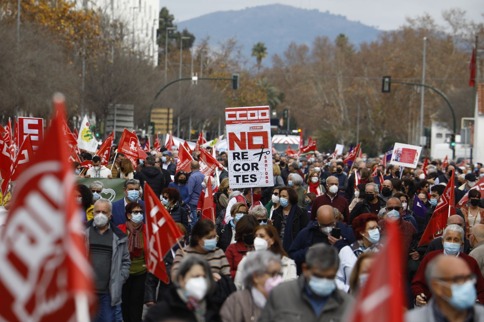 Manifestación en defensa de la sanidad pública en Córdoba, en imágenes
