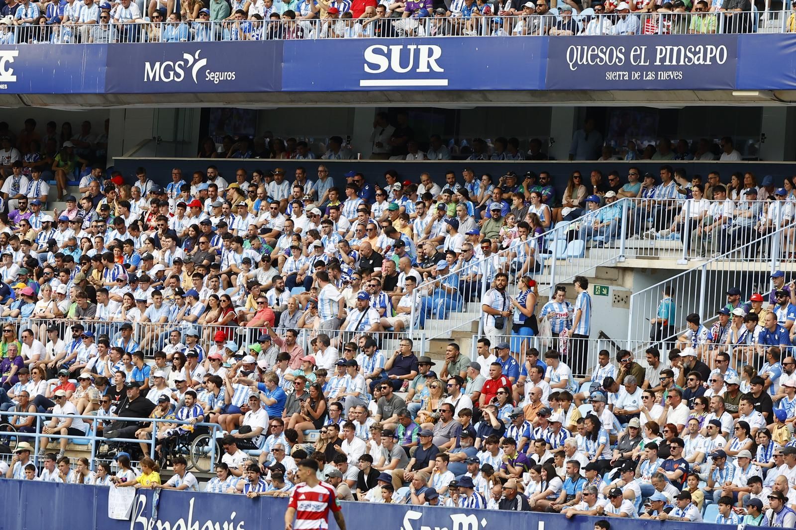 Búscate en el Málaga CF - Granada en las gradas de La Rosaleda