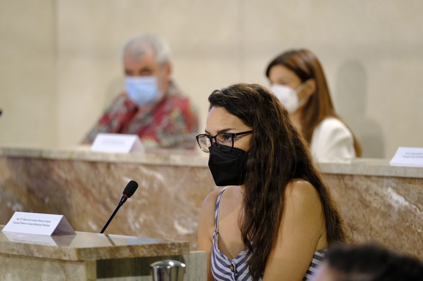 Fotogalería pleno ordinario del Ayuntamiento de Almería