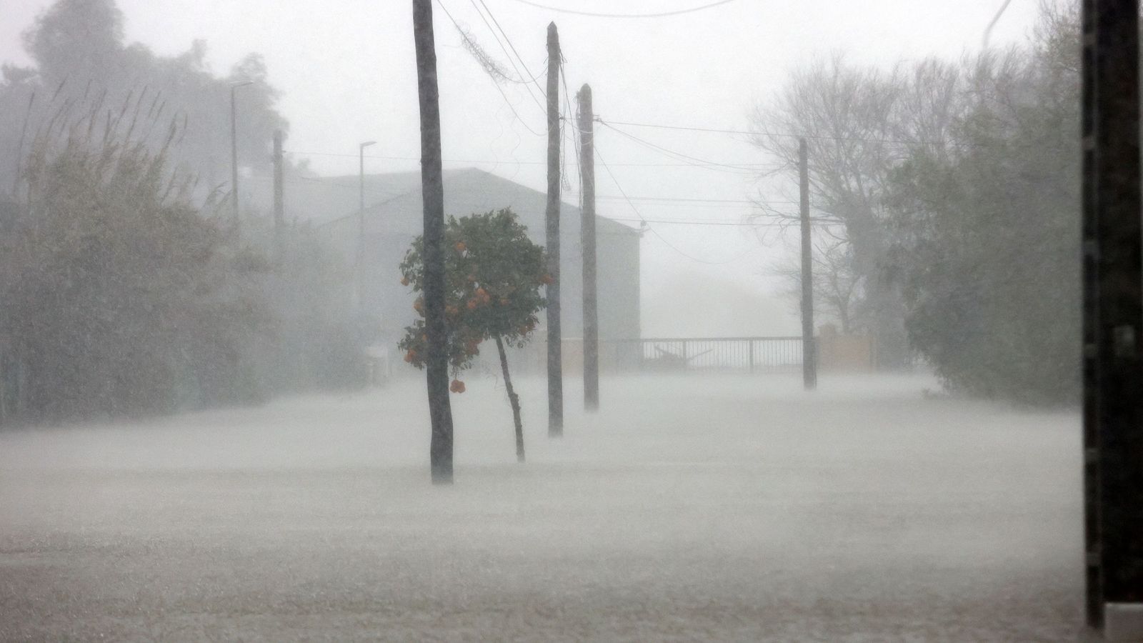 Imágenes del paseo rural por Jerez en el estreno de la borrasca Marta